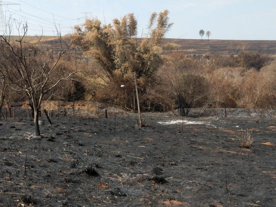 Foto 6 de 8 — Empresa é autuada em mais de R$ 1,4 milhão após queimada destruir área em Matão